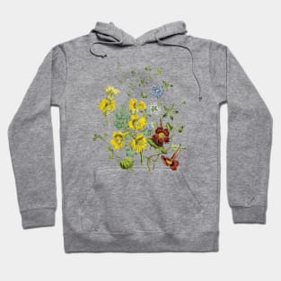 Wildflowers Botanical Illustration Hoodie